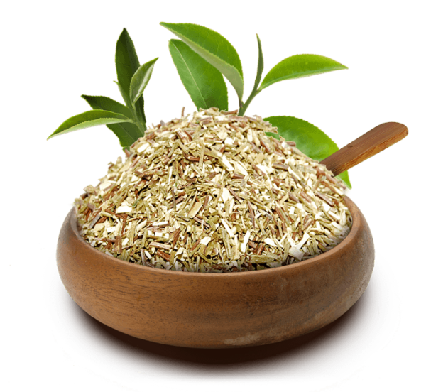 INFUSÃO ROOIBOS VERDE